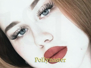 Pollynaster