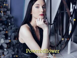Powerofflower