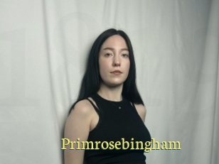 Primrosebingham