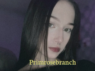 Primrosebranch