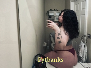 Pytbanks