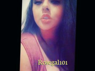 Rosegal101