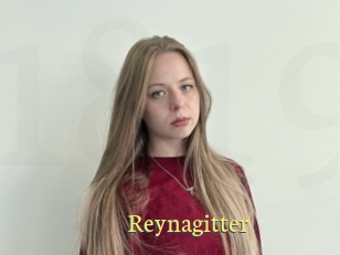 Reynagitter