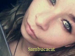 Sambucacat