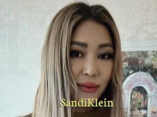 SandiKlein
