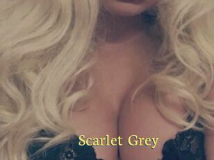 Scarlet_Grey