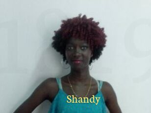 Shandy