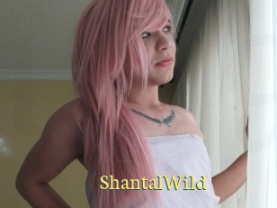 ShantalWild