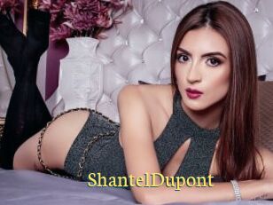 ShantelDupont