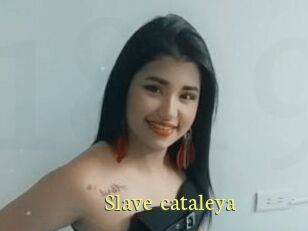 Slave_cataleya