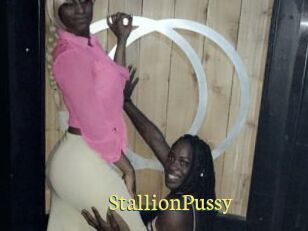 StallionPussy