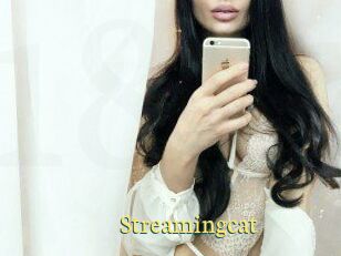 Streamingcat