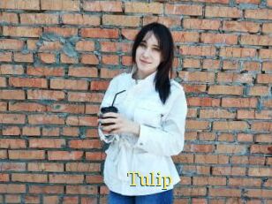 Tulip