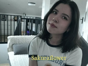 Sakuraflower