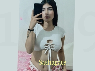 Sashagate