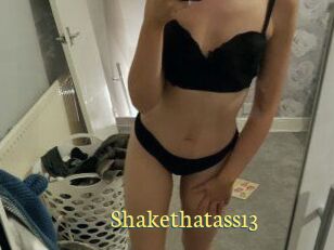Shakethatass13
