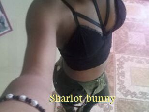 Sharlot_bunny