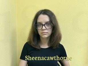 Sheenacawthorne