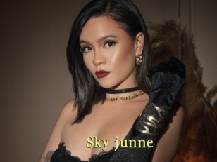 Sky_junne
