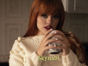 Skynabi