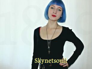 Skynetsoull