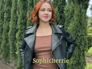 Sophicherrie