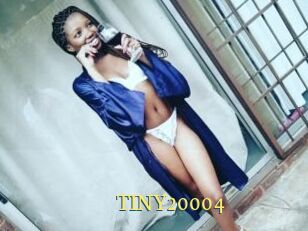 TINY20004