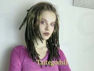 Taitegodsil