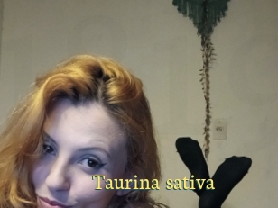 Taurina_sativa