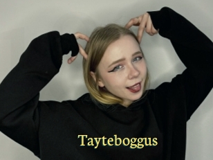 Tayteboggus