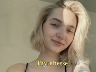 Taytehessel