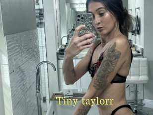Tiny_taylorr