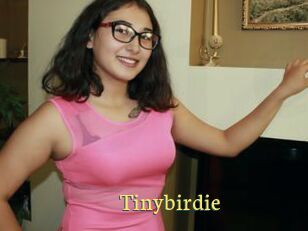 Tinybirdie