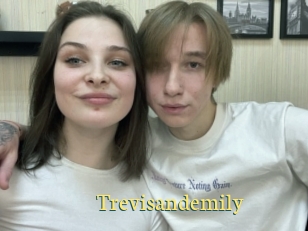 Trevisandemily
