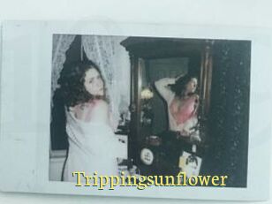 Trippingsunflower