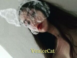 VeniceCat