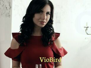 VioBird