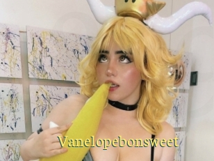 Vanelopebonsweet