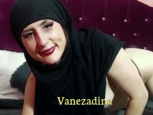 Vanezadina