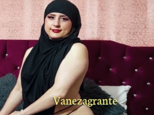 Vanezagrante