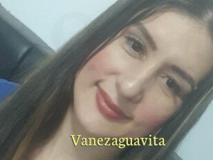 Vanezaguavita