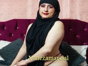 Vanezamarcial
