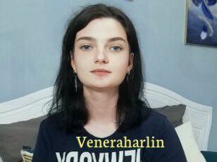 Veneraharlin
