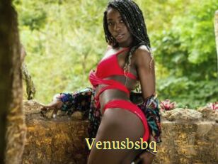 Venusbsbq