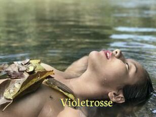 Violetrosse