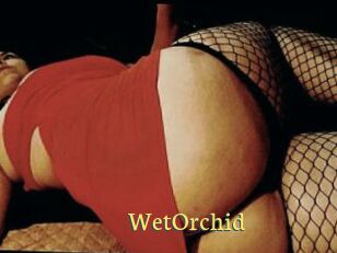 WetOrchid