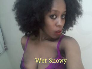 Wet_Snowy