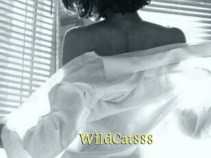 WildCat888