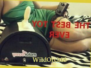 WildOrchid_