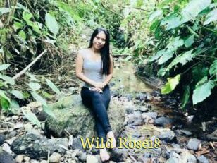 Wild_Rose18